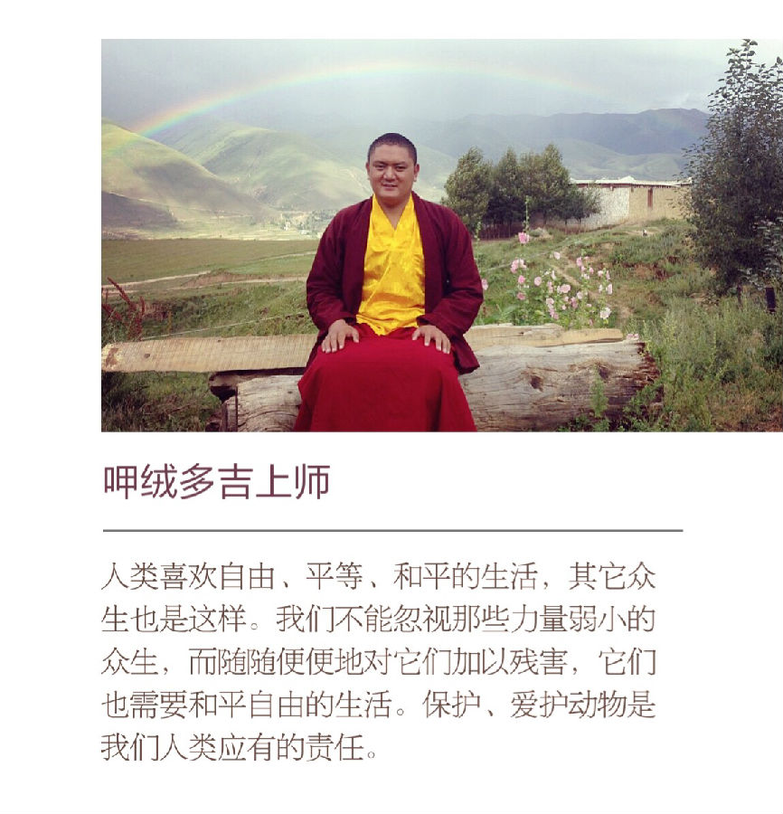 呷絨多吉上師：開示連載（55））學佛人盡量不說無意義的話