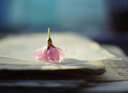 為了避免婚姻的煩惱而選擇逃避可以嗎