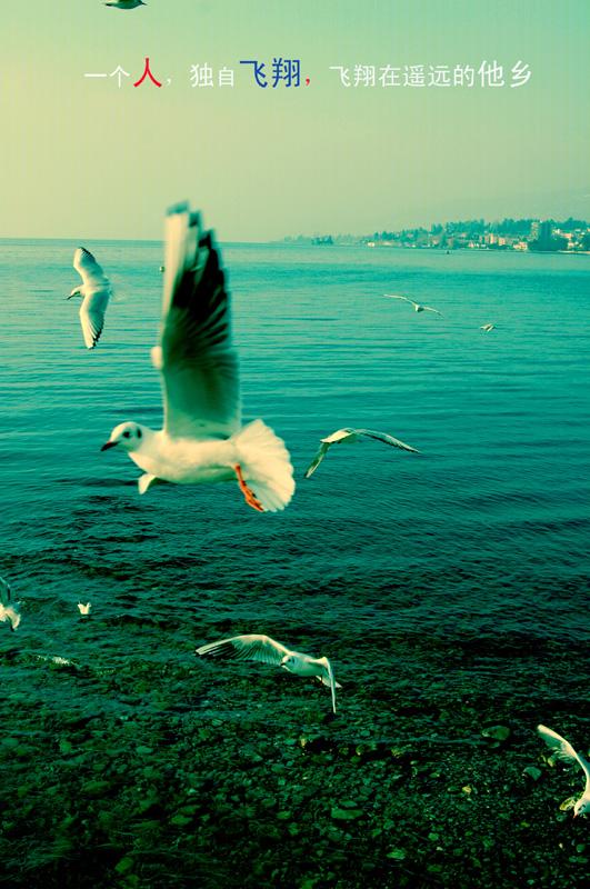 在家信徒的布施之道？