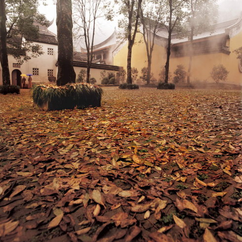 大安法師：為什麼惡人不得惡報