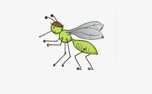 念往生咒能彌補無意的殺生行為？