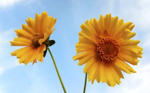 宗舜法師：生氣的時候怎樣控制情緒呢？