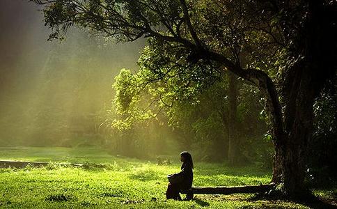 宣化上人：他心通的境界