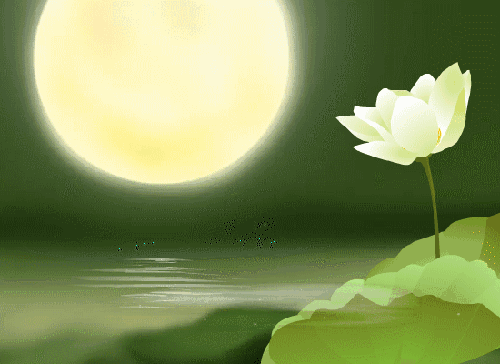 夢參老和尚：莫把佛友混作朋友