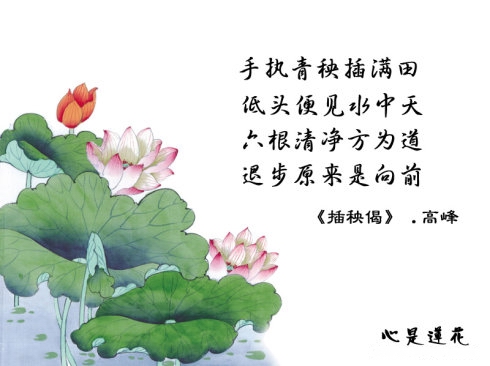 大安法師：開導受疾病折磨的病人