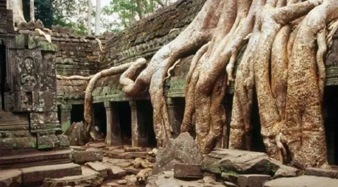 獨尊湛現：一定要對善知識懷著一顆感恩的心