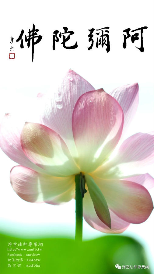 凈土法門法師：念念在道，不離彌陀名號