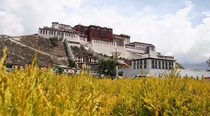 獨尊湛現：修行路上離不開真正的善知識