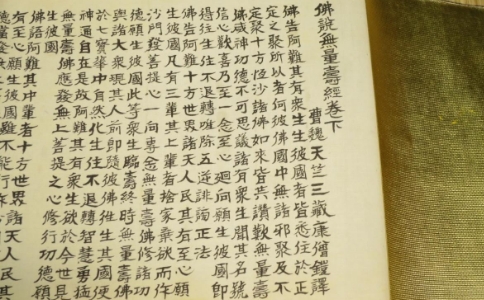 《觀無量壽佛經》第四觀：寶樹觀