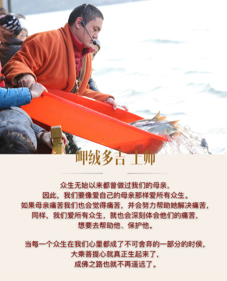 呷絨多吉上師：思維動物的苦受，節日里我們更加要盡量吃素、多放生