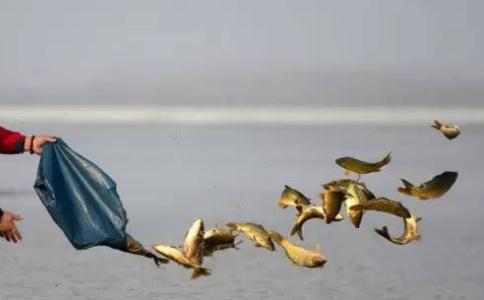 堅持誦地藏經放生消業障後