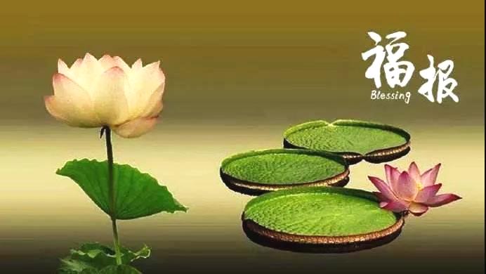 福是修來的，不是求來的