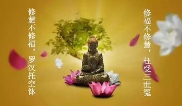 血塗——畜生道的因果業力