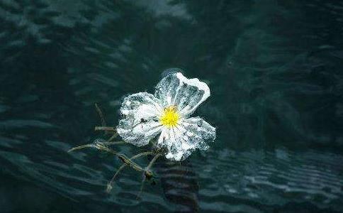 聖嚴法師：負心是指什麼？「負心人」往往是自己製造出來的