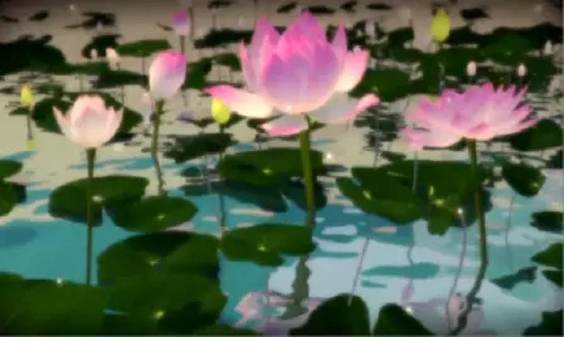 仁炟法師：家庭，感情方面的痛苦怎麼解決？