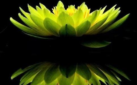 索吉達堪布：張國立等諸多明星是如何結上佛緣的？