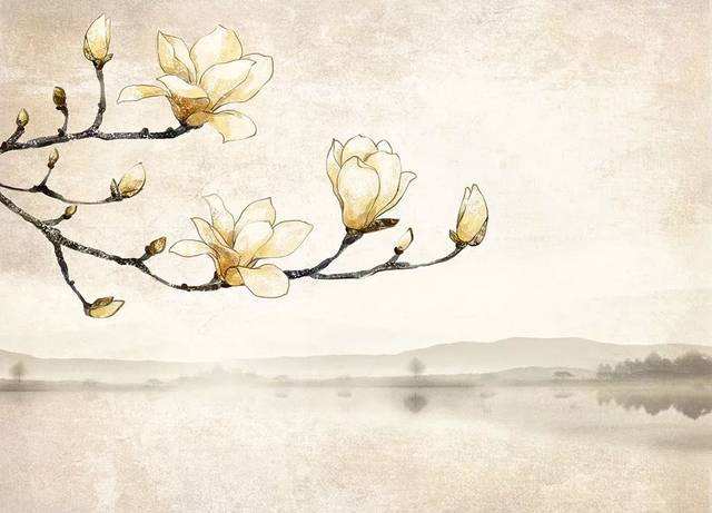 宏圓法師：命由己作，福由心生