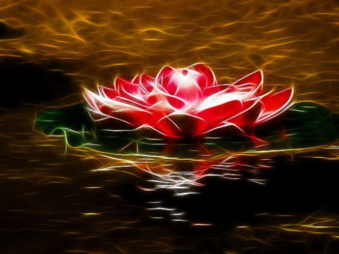 《金剛經》「無所住心」的修持法要