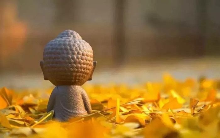 因果可轉不可逃，我從算命到學佛的經歷