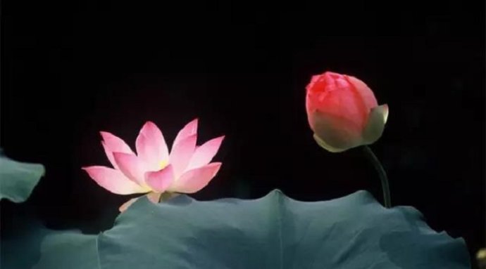 獨尊湛現：對孩子從小就應該養成一個良好的習性