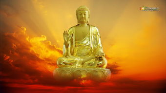 索達吉堪布：開車念咒語到底算不算功德？