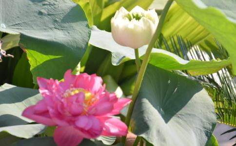 達真堪布：修行人的特質，你有嗎？