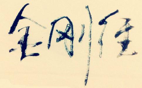 專心誦持金剛經 功德圓滿往生極樂