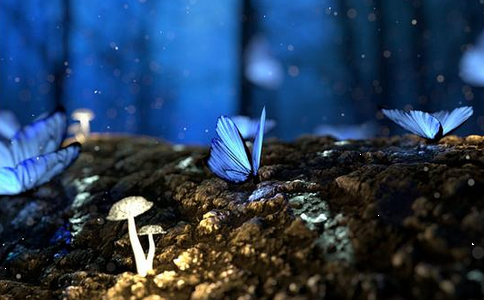 佛法讓我一家得以重生