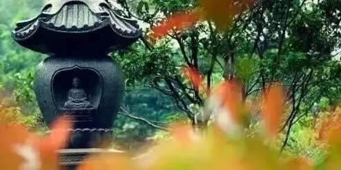 宏圓法師：親得離塵垢子道方成就