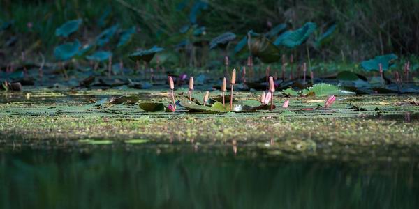 達真堪布：應該怎樣分辨善惡業？