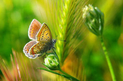 希阿榮博堪布：因緣瞬息萬變，生死只在呼吸之間