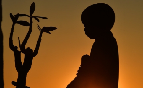 《普賢行願品》的法供養，怎麼如說修行？