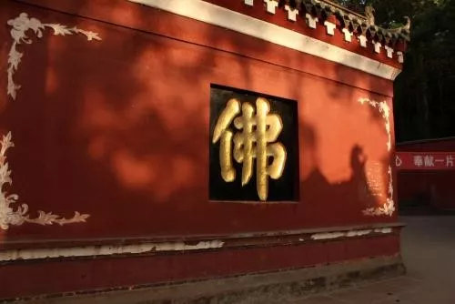 這才是最好的胎教