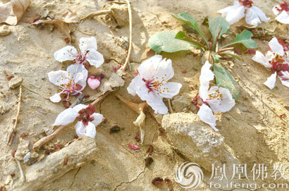 不禁感嘆！能相信這句話的人都具有深厚佛緣