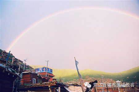 起心動念都是罪業，將來墮入惡趣，怎麼辦？