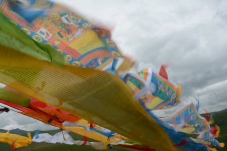 達真堪布：我們為什麼要學習論典？