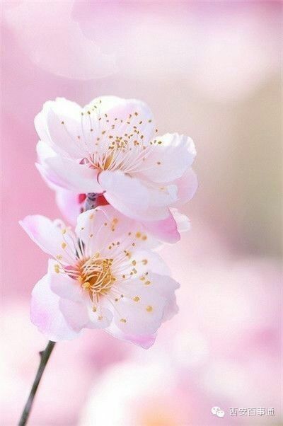 海濤法師：小孩夜夢驚醒呼喊有鬼，怎麼辦?