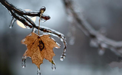 智隨法師：舍，真的就有得嗎？你真能捨得嗎？