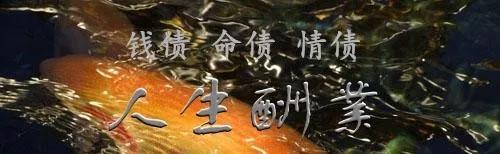 吃素是活著上當，吃肉是死了上當！