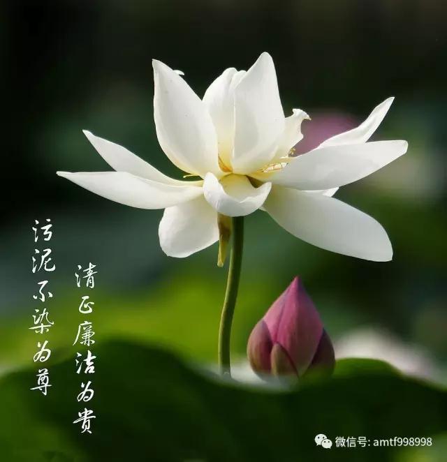 不要起惡念，一動念頭就會有磁場！