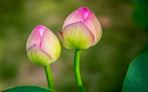 忍到無所忍，自然而清凈