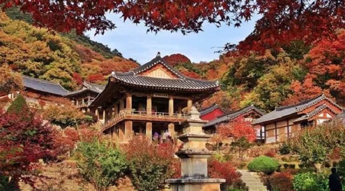 獨尊湛現：做任何事項，都不能盲目投入