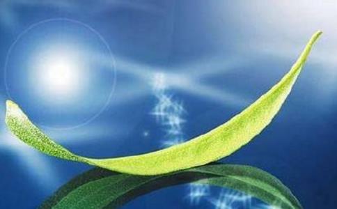 久晃法師：如何在生活中做到隨順眾生？