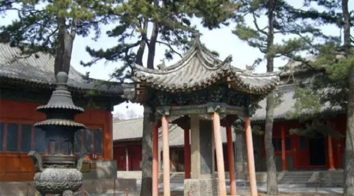 獨尊湛現：要用一顆智慧的心，去創造美好的人生