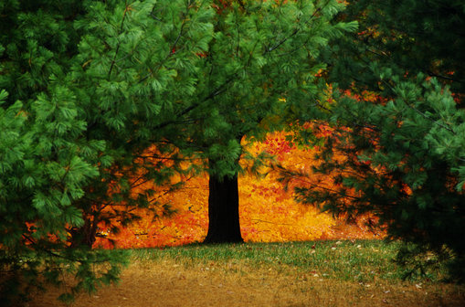 必須要供護法才能得到護持嗎？