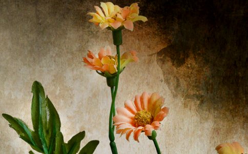 出離世間苦海最好的法門