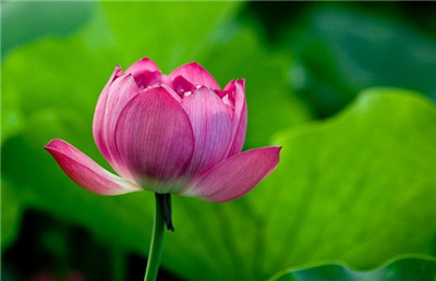 念《地藏經》，健全人格