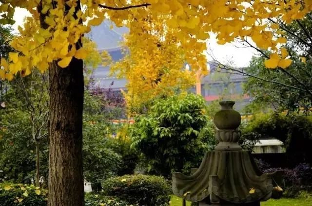 星雲大師：適合自己的，就是最好的！