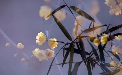 夢參法師：娑婆世界是苦難的世界