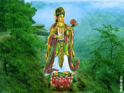 帶業往生這個「業」指的是什麼？